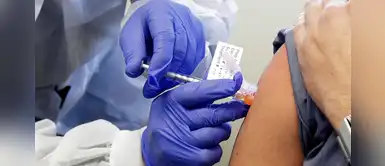 Compañía farmacéutica probará en septiembre en humanos vacuna contra el coronavirus Compañía farmacéutica probará en septiembre en humanos vacuna contra el coronavirus