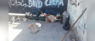 Solicitan apoyo para adulto mayor que cuida gatos en las calles durante la cuarentena Solicitan apoyo para adulto mayor que cuida gatos en las calles durante la cuarentena