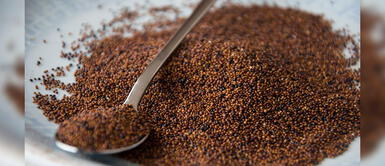 Cañihua, el superalimento que te ayudará a fortalecer tus defensas Cañihua, el superalimento que te ayudará a fortalecer tus defensas