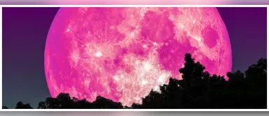 Este 7 de abril podremos ver el fenómeno de la "Superluna rosa" ¡Nuestro satélite en gran dimensión! Este 7 de abril podremos ver el fenómeno de la "Superluna rosa" ¡Nuestro satélite en gran dimensión!