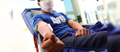 Recolección de 293 unidades de sangre permitirá salvar la vida de hasta 879 personas Recolección de 293 unidades de sangre permitirá salvar la vida de hasta 879 personas