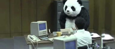 ¿Falla el Internet? ¡Paciencia! Entra aquí y optimiza tu conexión ¿Falla el Internet? ¡Paciencia! Entra aquí y optimiza tu conexión