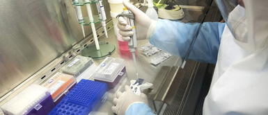 Coronavirus: Científicos encuentran el fármaco que puede matar al Covid-19 en 48 horas Coronavirus: Científicos encuentran el fármaco que puede matar al Covid-19 en 48 horas