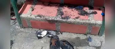 Ecuador: Anciano con depresión se suicida al no soportar la pérdida de su hijo por COVID-19 Ecuador: Anciano con depresión se suicida al no soportar la pérdida de su hijo por COVID-19