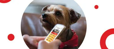 ¡Juegue desde casa! Participe del sorteo de S/ 657 millones este miércoles ¡Juegue desde casa! Participe del sorteo de S/ 657 millones este miércoles