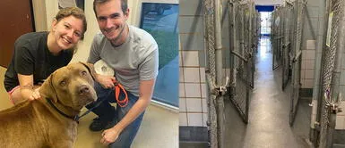 Más de 600 animales fueron adoptados antes de iniciar la cuarentena en Texas Más de 600 animales fueron adoptados antes de iniciar la cuarentena en Texas