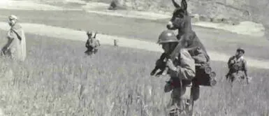 Conoce la historia real detrás del burro cargado por un soldado que se ha vuelto viral Conoce la historia real detrás del burro cargado por un soldado que se ha vuelto viral