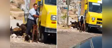 Repartidor de alimentos también lleva galletas para los perros de la zona donde trabaja Repartidor de alimentos también lleva galletas para los perros de la zona donde trabaja