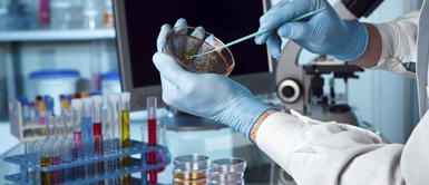 Científicos peruanos trabajan para encontrar la vacuna contra el coronavirus Científicos peruanos trabajan para encontrar la vacuna contra el coronavirus