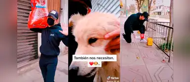 Joven salió con un costal de comida y botellas de agua para alimentar a varios perros Joven salió con un costal de comida y botellas de agua para alimentar a varios perros