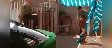 Perro brindó tierno abrazo a policía que trepó una reja para salvarlo de un accidente Perro brindó tierno abrazo a policía que trepó una reja para salvarlo de un accidente