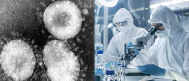 Documental indica que origen del COVID-19 fue “escondido” porque se filtró de un laboratorio Documental indica que origen del COVID-19 fue “escondido” porque se filtró de un laboratorio