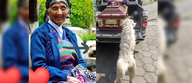 Perro conmueve a miles al perseguir el ataúd de su dueña muerta por COVID-19 Perro conmueve a miles al perseguir el ataúd de su dueña muerta por COVID-19