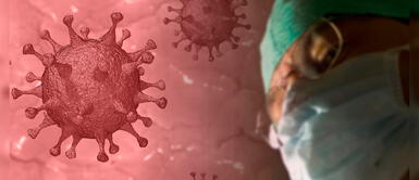 Científicos franceses lograron matar el coronavirus a altas temperaturas Científicos franceses lograron matar el coronavirus a altas temperaturas