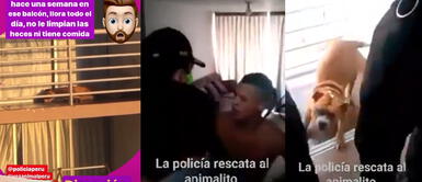 Policía rescata a perro abandonado en un balcón y denunciado por Rodrigo González Policía rescata a perro abandonado en un balcón y denunciado por Rodrigo González