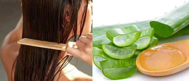¿Cómo aprovecho el gel del aloe vera para prevenir la caída de mi cabello? ¿Cómo aprovecho el gel del aloe vera para prevenir la caída de mi cabello?