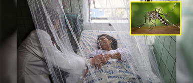 Por qué es importante tomar precaución del dengue en medio de la pandemia del COVID-19 Por qué es importante tomar precaución del dengue en medio de la pandemia del COVID-19