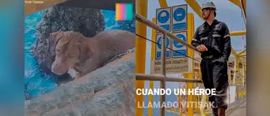 Obrero encuentra un perro a mitad del mar, organización salva su vida y él mismo hombre lo adopta Obrero encuentra un perro a mitad del mar, organización salva su vida y él mismo hombre lo adopta