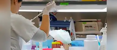 Rusia autorizó el tratamiento de pacientes enfermos de COVID-19 con hidroxicloroquina Rusia autorizó el tratamiento de pacientes enfermos de COVID-19 con hidroxicloroquina