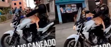 #BuenasNoticias: Policía rescata a perro sin hogar y lo lleva en su moto durante la cuarentena #BuenasNoticias: Policía rescata a perro sin hogar y lo lleva en su moto durante la cuarentena