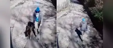 Cámara de seguridad registra un nuevo caso de abandono animal durante la cuarentena Cámara de seguridad registra un nuevo caso de abandono animal durante la cuarentena