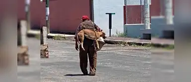 Indigente carga a un perro en su espalda para evitar que se queme las patitas Indigente carga a un perro en su espalda para evitar que se queme las patitas