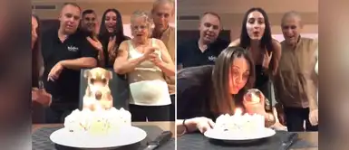 Cachorro festeja su cumpleaños junto a su familia adoptiva durante la cuarentena Cachorro festeja su cumpleaños junto a su familia adoptiva durante la cuarentena