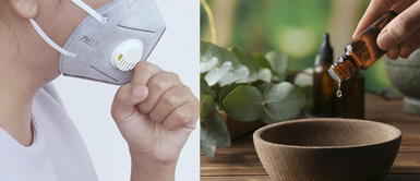 Coronavirus en Perú: ¿El eucalipto previene el contagio del COVID-19? Coronavirus en Perú: ¿El eucalipto previene el contagio del COVID-19?