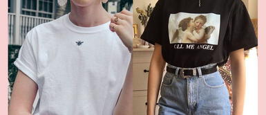 ¿Básicos? Estos son los datos más curiosos que no conocías de los polos ¿Básicos? Estos son los datos más curiosos que no conocías de los polos