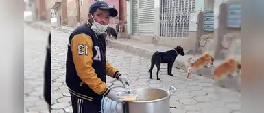 Joven instala una olla gigante de comida para alimentar a los perros abandonados Joven instala una olla gigante de comida para alimentar a los perros abandonados
