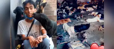Hombre pide ayuda para que adopten a sus 90 perros: “Ya no puedo cuidarlos, estoy mal” Hombre pide ayuda para que adopten a sus 90 perros: “Ya no puedo cuidarlos, estoy mal”