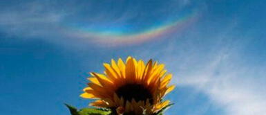 Extraño fenómeno sorprende en Italia tras aparición del “arcoíris al revés” Extraño fenómeno sorprende en Italia tras aparición del “arcoíris al revés”