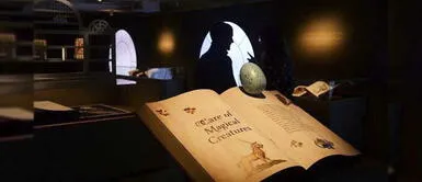 ¡Desde casa! Recorre la España de Miguel de Cervantes o el mundo de Harry Potter ¡Desde casa! Recorre la España de Miguel de Cervantes o el mundo de Harry Potter