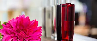 ¿Se te acabó el perfume? Consigue tu propio aroma con estos ingredientes ¿Se te acabó el perfume? Consigue tu propio aroma con estos ingredientes
