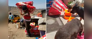 Empresa peruana dona alimentos para más de 2500 animales en albergues vulnerables Empresa peruana dona alimentos para más de 2500 animales en albergues vulnerables