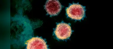 ¿A qué temperatura y nivel los rayos solares y la humedad son mortales para el COVID-19? ¿A qué temperatura y nivel los rayos solares y la humedad son mortales para el COVID-19?
