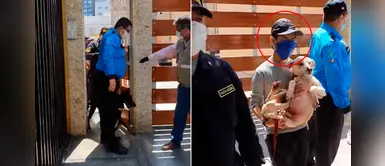 PNP rescató a dos perros que eran golpeados constantemente por su dueño en Miraflores PNP rescató a dos perros que eran golpeados constantemente por su dueño en Miraflores