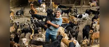Hombre cuida a decenas de perros abandonados en su humilde casa durante la cuarentena Hombre cuida a decenas de perros abandonados en su humilde casa durante la cuarentena