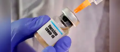 Vacuna contra el COVID-19 de la Universidad de Oxford resultó exitosa en monos Vacuna contra el COVID-19 de la Universidad de Oxford resultó exitosa en monos