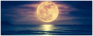 ¿Qué pasaría si no hubiera Luna? ¡Aquí la explicación! ¿Qué pasaría si no hubiera Luna? ¡Aquí la explicación!