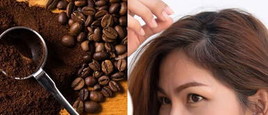 Café y bicarbonato: Ingredientes económicos que ocultan las canas y emparejan el color del pelo Café y bicarbonato: Ingredientes económicos que ocultan las canas y emparejan el color del pelo