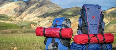 La unión hace la fuerza: "Dejar el individualismo" podría salvar el turismo post COVID-19 La unión hace la fuerza: "Dejar el individualismo" podría salvar el turismo post COVID-19