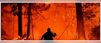 ¿Qué significa soñar con fuego? Esta es la reveladora explicación ¿Qué significa soñar con fuego? Esta es la reveladora explicación