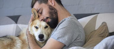 NatGeo transmitirá programa especial del cuidado de nuestras mascotas en tiempos de cuarentena NatGeo transmitirá programa especial del cuidado de nuestras mascotas en tiempos de cuarentena