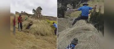 Ayacuchanos construyen casas de ichu para que caminantes acaten cuarentena Ayacuchanos construyen casas de ichu para que caminantes acaten cuarentena