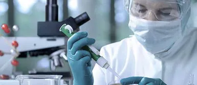 Científicos hallan anticuerpos que evitan que el coronavirus se propague en el organismo Científicos hallan anticuerpos que evitan que el coronavirus se propague en el organismo