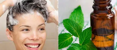 Ortiga y aceite de ricino: Nutre tu cuero cabelludo y fortalece tu pelo de raíz a puntas Ortiga y aceite de ricino: Nutre tu cuero cabelludo y fortalece tu pelo de raíz a puntas