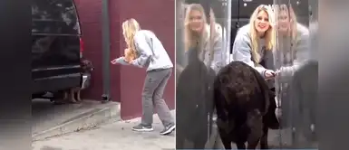 Mujer decidió adoptar a un perro abandonado que encontró deambulando en la ciudad Mujer decidió adoptar a un perro abandonado que encontró deambulando en la ciudad