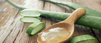 Sábila: Dile adiós a la caspa y haz crecer tu cabello con este ingrediente natural Sábila: Dile adiós a la caspa y haz crecer tu cabello con este ingrediente natural