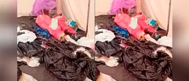 Denuncian que cuerpos de fallecidos por coronavirus se descomponen en carpa de Hospital Loayza Denuncian que cuerpos de fallecidos por coronavirus se descomponen en carpa de Hospital Loayza